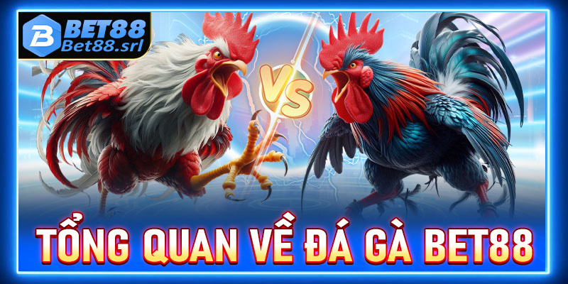 Thông tin tổng quan chung về sảnh đặt cược đá gà Bet88