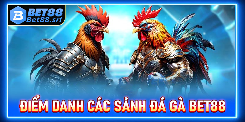 Điểm danh các sảnh đặt cược đá gà Bet88 luôn được người chơi tin tưởng