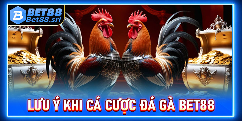 Điều hội viên cần phải lưu ý khi tham gia cá cược đá gà Bet88